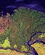 The myriad faces of the coasts © Image provided by the USGS EROS Data Center Satellite Systems Branch. This image is part of the ongoing Landsat Earth as Art series/NASA