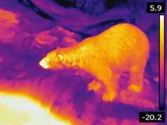 fig. 4.10 © WRG Conservation