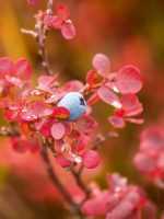 fig. 4.13 © John Pohl/www.geophotography.org