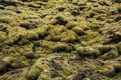 fig. 4.16 © 2017 Dave Clark