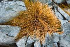 fig. 4.18 © National Geographic Image Collection/Alamy Stock Foto