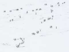 fig. 4.5 © Peter Mather