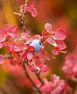 Living in the cold © John Pohl/www.geophotography.org
