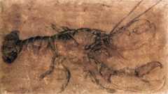 duerer-lobster