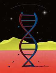 Ancient DNA analysis