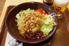 【お食事サラダ】究極にヘルシーな一食でありがながら酒のつまみとしても優秀すぎる「すき家」のお食事サラダとは!?:パリッコ『今週のハマりめし』第213回