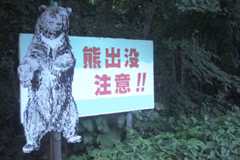 熊を撃つよりシカを撃て!? 現役ハンターが指摘する意外な「熊害防止策」