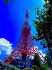 ワルチング・マチルダ~メルボルン、ゴールドコースト、シドニー(1)【「新型コロナウイルス学者」の平凡な日常】