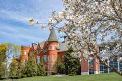 Photograph of Thompson Hall in the spring, with cherry blossom's in full bloom
