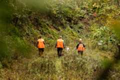 Three hunters and a hound walk through the woods