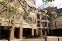 White blossoms on a tree branch in the foreground with a blurred modern brick building in the background.