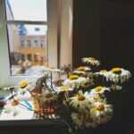 Bibliotekets sommartider