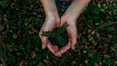 In the background, two hands hold soil with seedlings to the camera. In the foreground is the writing: Connect Across Seed Funding.