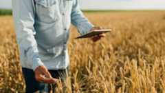 man in wheat field with tablet