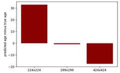 Prediction error (predicted age minus true age) for the same 25 images with various resolutions. Images were passed through the developed neural network, with kernels trained for 299 x 299 pixels resolution.