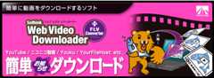 Web Video Downloader