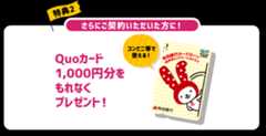 特典2 Quoカード1,000円分をもれなくプレゼント！