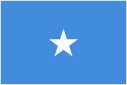 Somali flag
