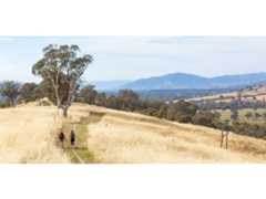 Hikers on Eastern Hill