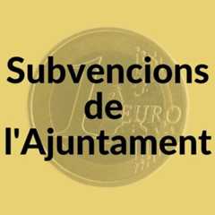 SUBVENCIONS DE L'AJUNTAMENT