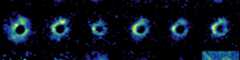 ALMA Reveals 57 Faces of a Dying Star