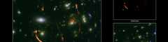 ALMA and the NSF VLA Use a Cosmic Lens to Reveal a Hyperactive Cradle of a Future Galaxy Cluster