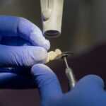 Maximiza tu visibilidad con un directorio dental