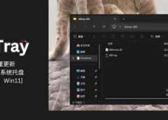 RBTray：老古董更新：右键最小化到系统托盘[Win10、Win11] 14