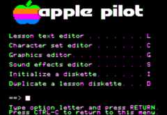 Apple PILOT program screen - Photo credit: personal