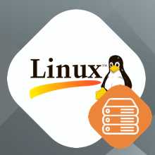Hébergement Web sur Serveur Linux, pourquoi faire ce choix ?