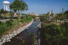 town branch stream revealed