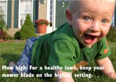 For a healthy lawn, keep you mower on the highest setting