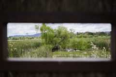 Jerrabomberra Wetlands Jerrabomberra Wetlands