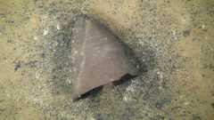 琵琶湖北部にある葛籠尾崎(つづらおざき)湖底遺跡の水深64メートル地点で撮影された、ほぼ完全な形の縄文土器。1万1千~1万500年前のものと推定された=2025年10月、滋賀県長浜市、滋賀県など提供