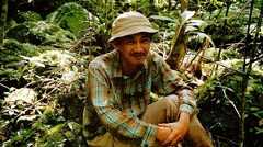 ヤマネコを守る「山の人生」を選ぶまで　千葉、会津、西表島の25年　身の回りの自然と独りで向き合う時間