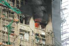 ニュースの要点11月28日 (金)