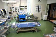 ニュースの要点11月27日 (木)