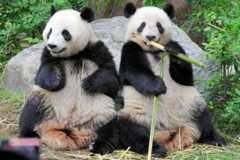 ニュースの要点12月16日 (火)