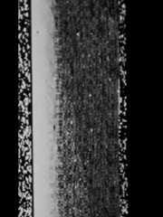 Mars_3_Image