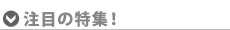 注目の特集!