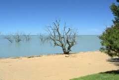 Menindee