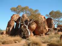 Northern Territory Postcards
