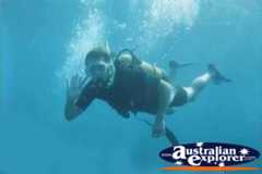 Diving in The Great Barrier Reef - Queensland