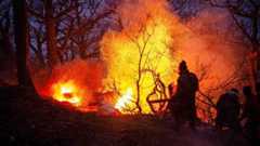 Urgent call to list Iran's ancient Hyrcanian Forests as World Heritage in danger amid post-wildfire crisis