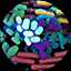 Microbiome