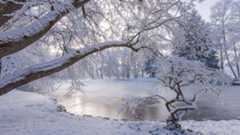 Kurpark Bad Aibling Irlachweiher Winter