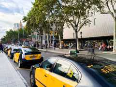Barcelona Taxis