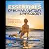 Essentials of Human Anatomy & Physiology (12th Edition)