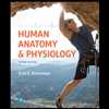 Human Anatomy & Physiology (2nd Edition)