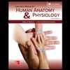Laboratory Manual For Human Anatomy & Physiology